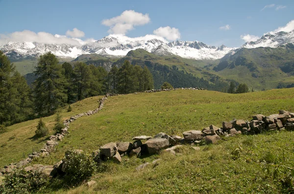 Majestuoso paisaje alpino — Stockfoto