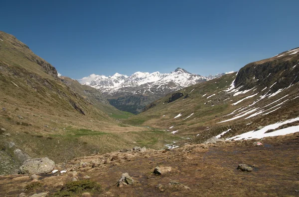 Альпийский пейзаж — стоковое фото