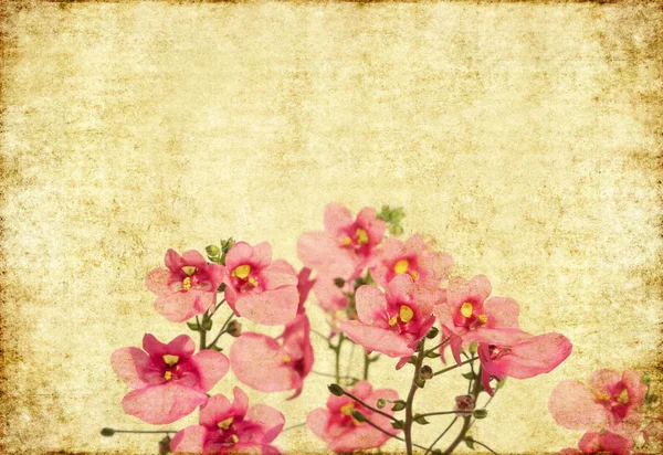 Прекрасне зображення тла з квітковими елементами — стокове фото
