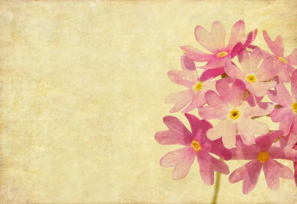 Schönes Hintergrundbild mit floralen Elementen. sehr nützliches Gestaltungselement. — Stockfoto