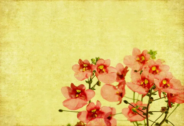 Schönes Hintergrundbild mit floralen Elementen. sehr nützliches Gestaltungselement — Stockfoto