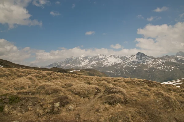 Szwajcarski krajobraz alpejski — Zdjęcie stockowe