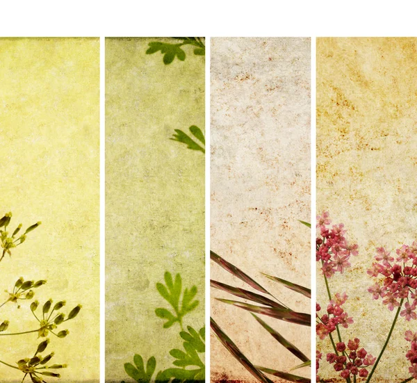 stock image Lovely set of banners with interesting textures. useful design elements