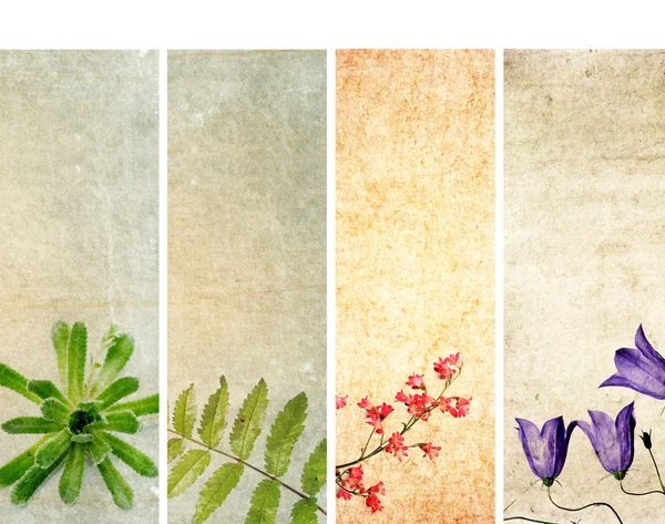 Lovely set of banners with interesting textures. useful design elements — Stock Photo, Image