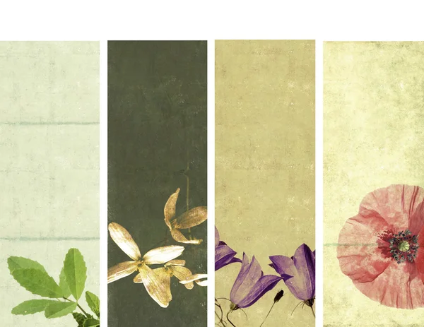 Krásná sada bannerů s zemité textur. užitečné prvky — Stock fotografie