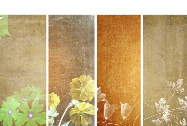 Lovely set of banners with earthy textures. useful design elements — Stock Photo, Image
