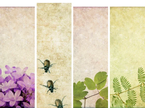 Piękny zestaw bannerów z kwiatowymi elementami i tekstury ziemi. przydatne elementy — Zdjęcie stockowe