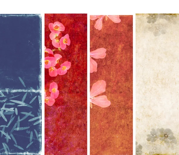 Bel ensemble de bannières avec des éléments floraux et des textures terreuses. éléments de conception utiles — Photo