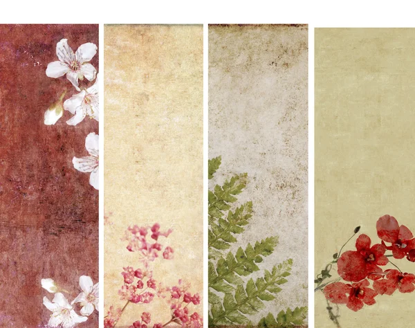 Bella serie di striscioni con elementi floreali e texture terrose. elementi di design utili — Foto Stock