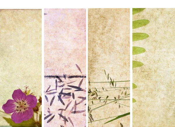 Bonito conjunto de banners com elementos florais e texturas terrosas. elementos de design úteis — Fotografia de Stock