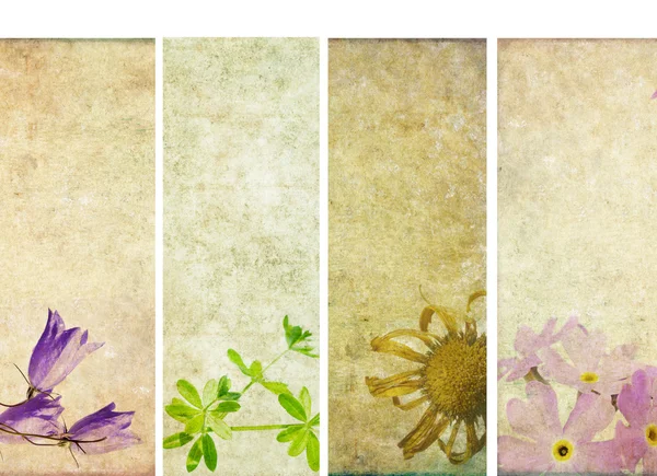 Afiş çiçek öğeleri ve dünyevi dokular çok güzel dizi. kullanışlı tasarım öğeleri — Stok fotoğraf