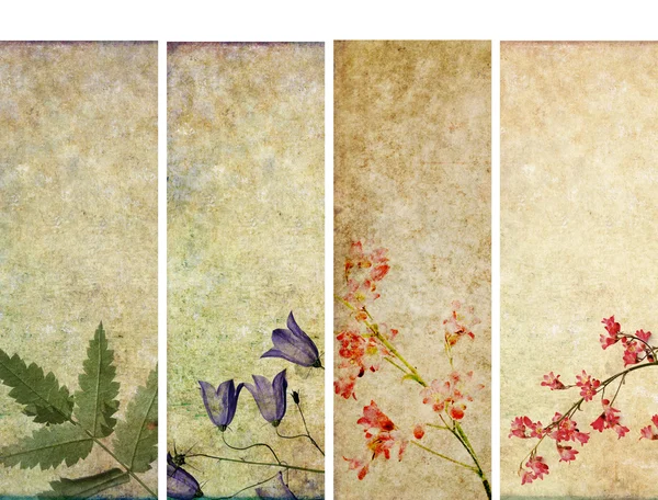 Lovely set of banners with floral elements and earthy textures. useful design elements — Stock Photo, Image