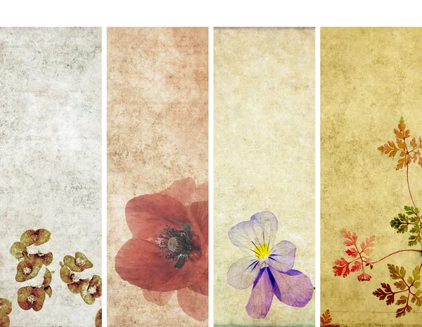 Krásná sada bannerů s květinové prvky a zemité textur. užitečné prvky — Stock fotografie
