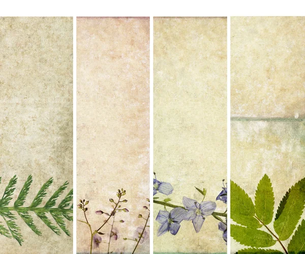 Mooie set van banners met florale elementen en aardse texturen. nuttige ontwerpelementen — Stockfoto