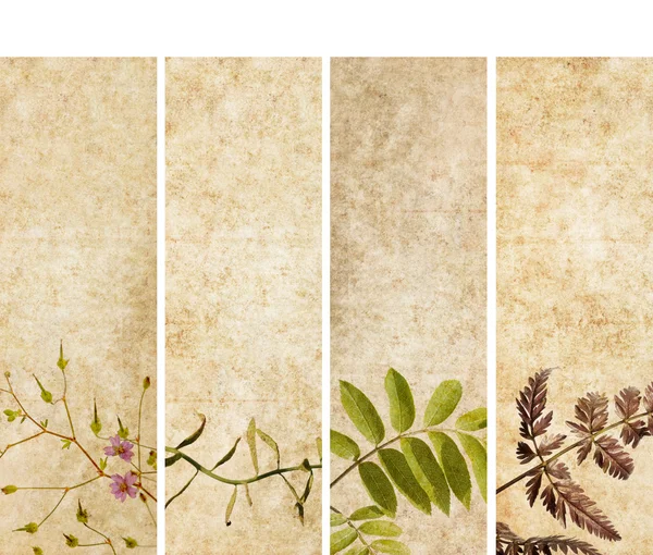Precioso conjunto de pancartas con elementos florales y texturas terrosas. elementos de diseño útiles — Foto de Stock