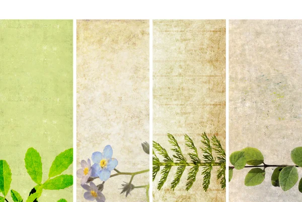 Härlig uppsättning banners med blommig element och jordnära texturer. användbar designelement — Stockfoto