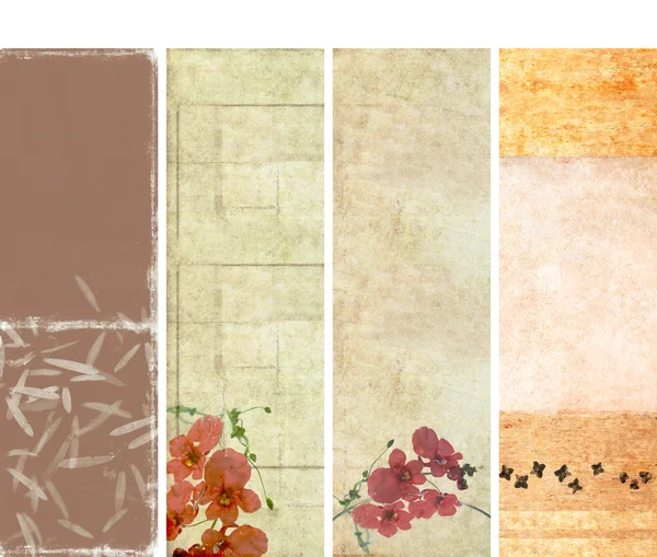 Прекрасний набір банерів з квітковими елементами і земними текстурами. корисні елементи дизайну — стокове фото