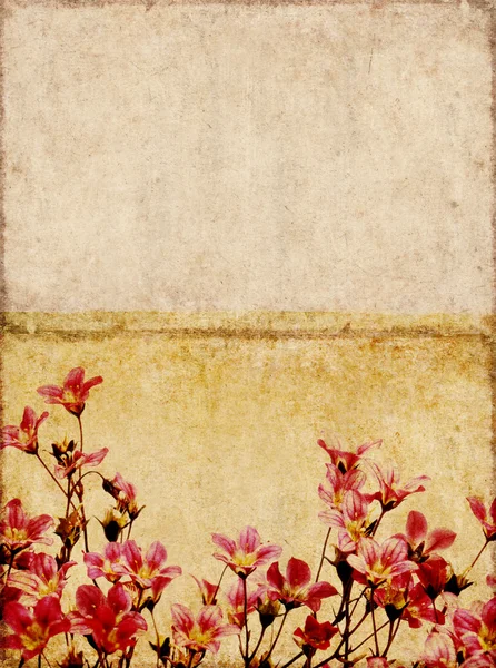 Krásné barevné pozadí obrázek s květinové prvky. užitečné designový prvek. — Stock fotografie