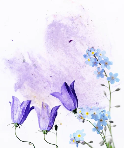 Bunte Illustration mit floralen Elementen. Nützliches Gestaltungselement. — Stockfoto