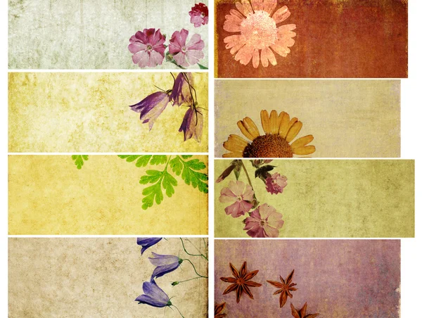 Υπέροχο σύνολο πανό με στοιχεία floral και γήινα υφές. στοιχεία σχεδιασμού χρήσιμες — Φωτογραφία Αρχείου