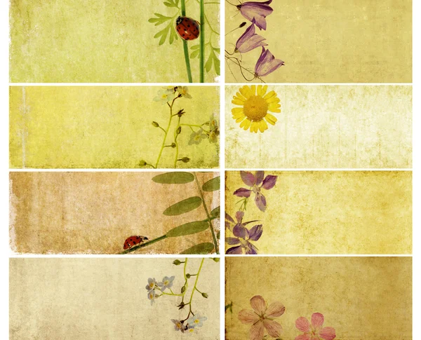 Precioso conjunto de pancartas con elementos florales y texturas terrosas. elementos de diseño útiles —  Fotos de Stock