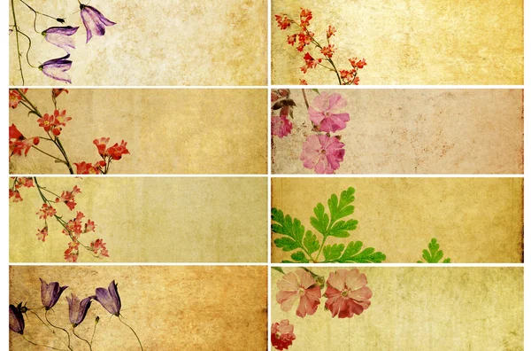 可爱组与花卉元素和土状纹理的横额。有用的设计元素 — 图库照片