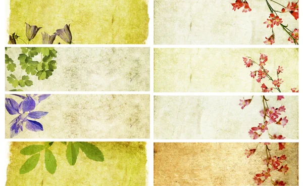 Krásná sada bannerů s květinové prvky a zemité textur. užitečné prvky — Stock fotografie