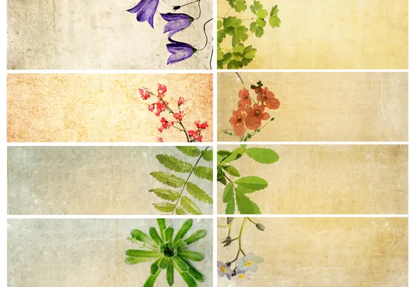 Precioso conjunto de pancartas con elementos florales y texturas terrosas. elementos de diseño útiles —  Fotos de Stock