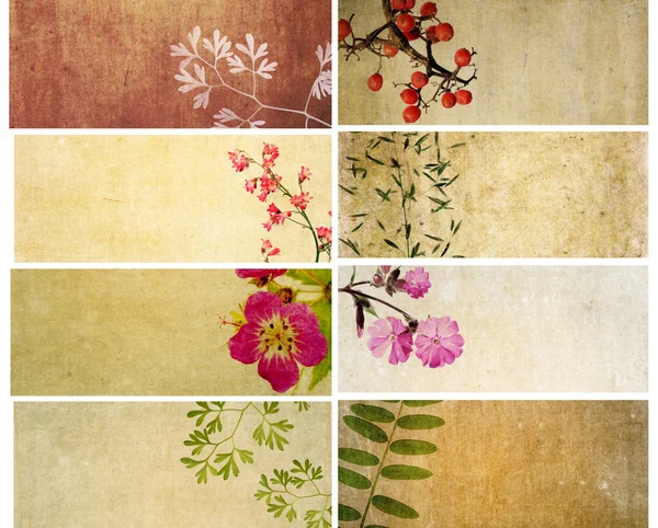 Прекрасний набір банерів з квітковими елементами і земними текстурами. корисні елементи дизайну — стокове фото