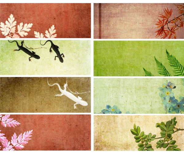Härlig uppsättning banners med jordnära texturer. användbar designelement — Stockfoto