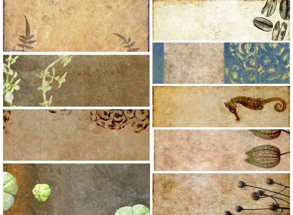 stock image Lovely set of banners with earthy textures. useful design elements