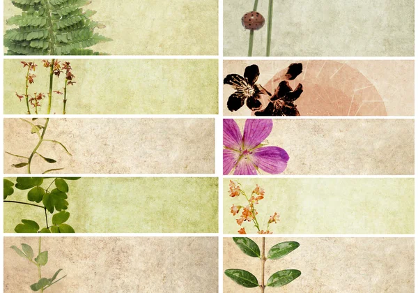 Transzparensek és virág földes textúrák szép sorozata. hasznos design elemek — Stock Fotó