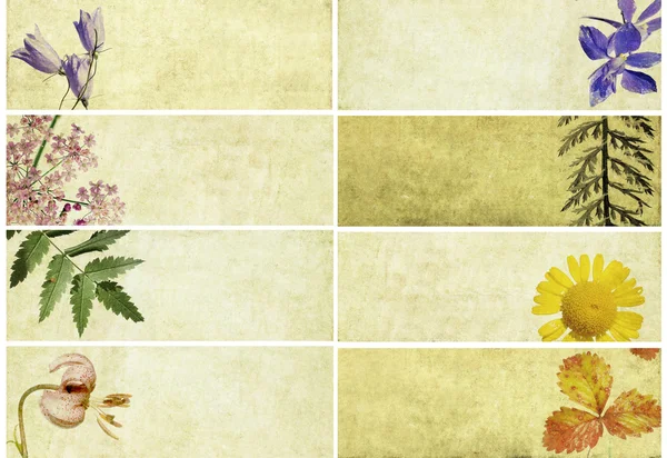꽃 요소와 소박 텍스처 배너의 아름 다운 세트. 유용한 디자인 요소 — 스톡 사진