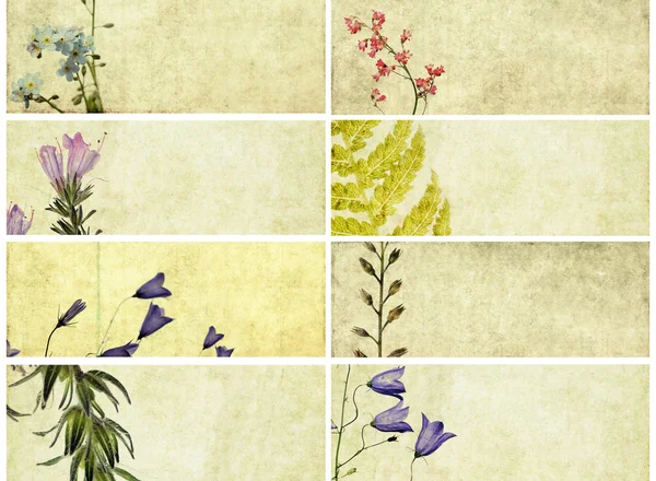 Schöne Banner mit floralen Elementen und erdigen Texturen. nützliche Gestaltungselemente — Stockfoto