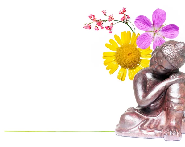 Krásná postava Buddhy a rostlin proti Bílému pozadí — Stock fotografie