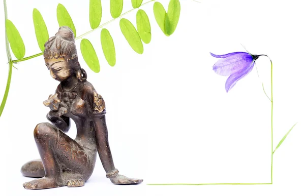 Immagine di sfondo con bella figura indiana di una giovane donna che osserva un fiore di loto — Foto Stock