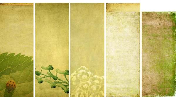 Lovely background textures or banners. very useful design elements. — Stockfoto
