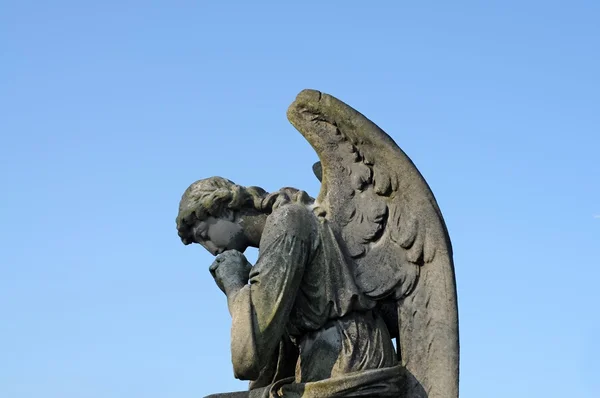 Standbeeld van een stenen cherubijnen, engel in een begraafplaats in Londen, Engeland — Stockfoto