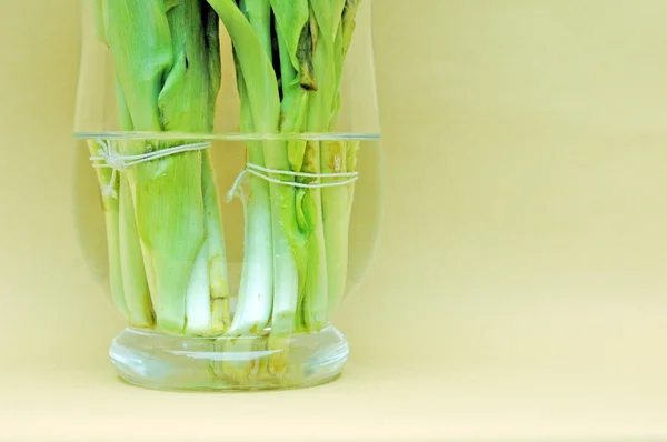 Part of a vase filled with water and tulips against light brown background — Stock Photo, Image