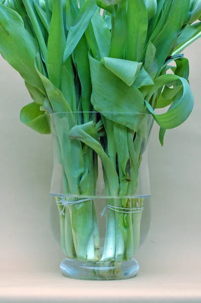 A glass vase filled with tulips against light brown background — Stock Photo, Image