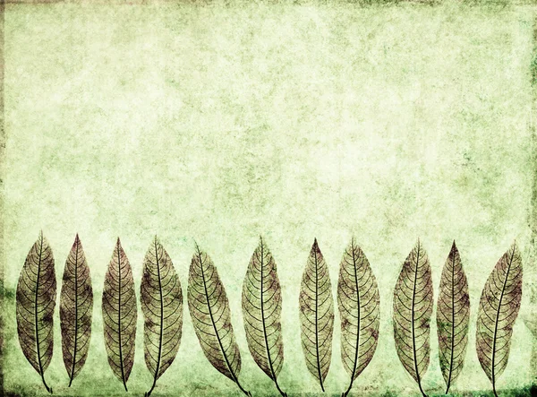 Krásné hnědé pozadí obrázek s zajímavé textury a zelené listy — Stock fotografie