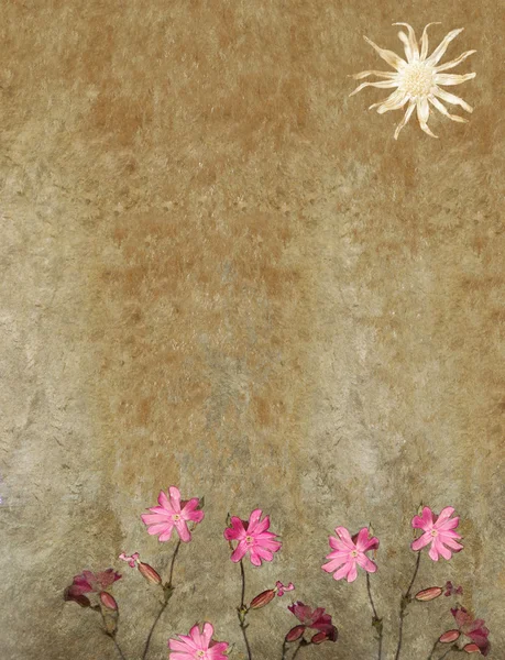 Εικόνα φόντου με floral στοιχεία και άφθονο χώρο για κείμενο — Φωτογραφία Αρχείου