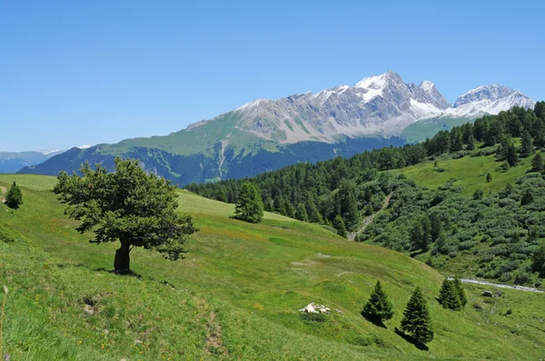 Lindo panorama nos Alpes na Suíça — Fotografia de Stock