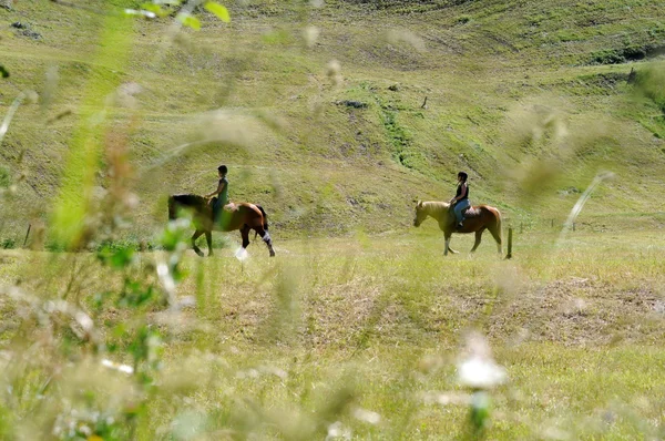 Zwei anonyme Reiter auf einem Feld in den Schweizer Alpen — Stockfoto