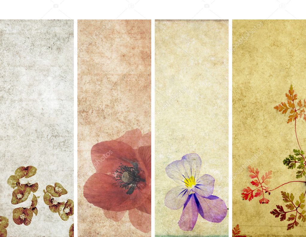 Lovely set of banners with floral elements and earthy textures. useful design elements