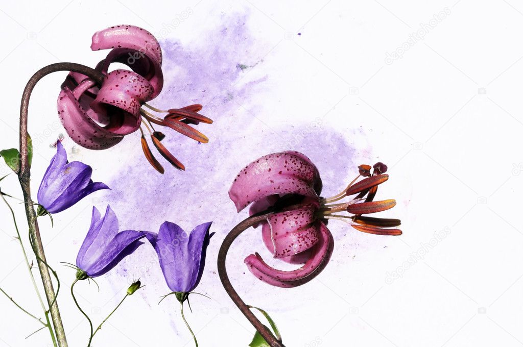 Colorful illustration with floral elements. useful design element.