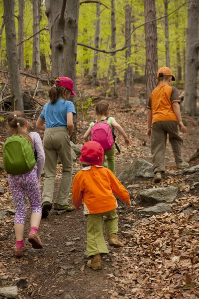 Gita dei bambini nella foresta — Foto Stock