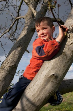 Happy boy, child climbing on a tree clipart