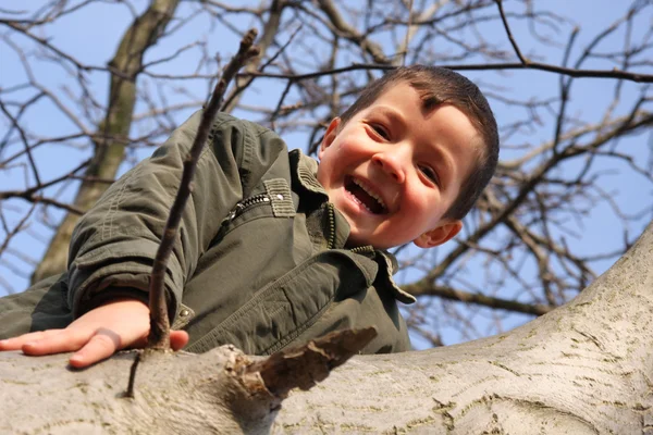 Счастливого улыбающегося мальчика, забравшегося на дерево — стоковое фото