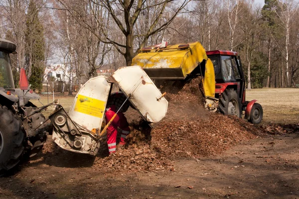 Cleanup at the park by tractor — Stock Photo, Image